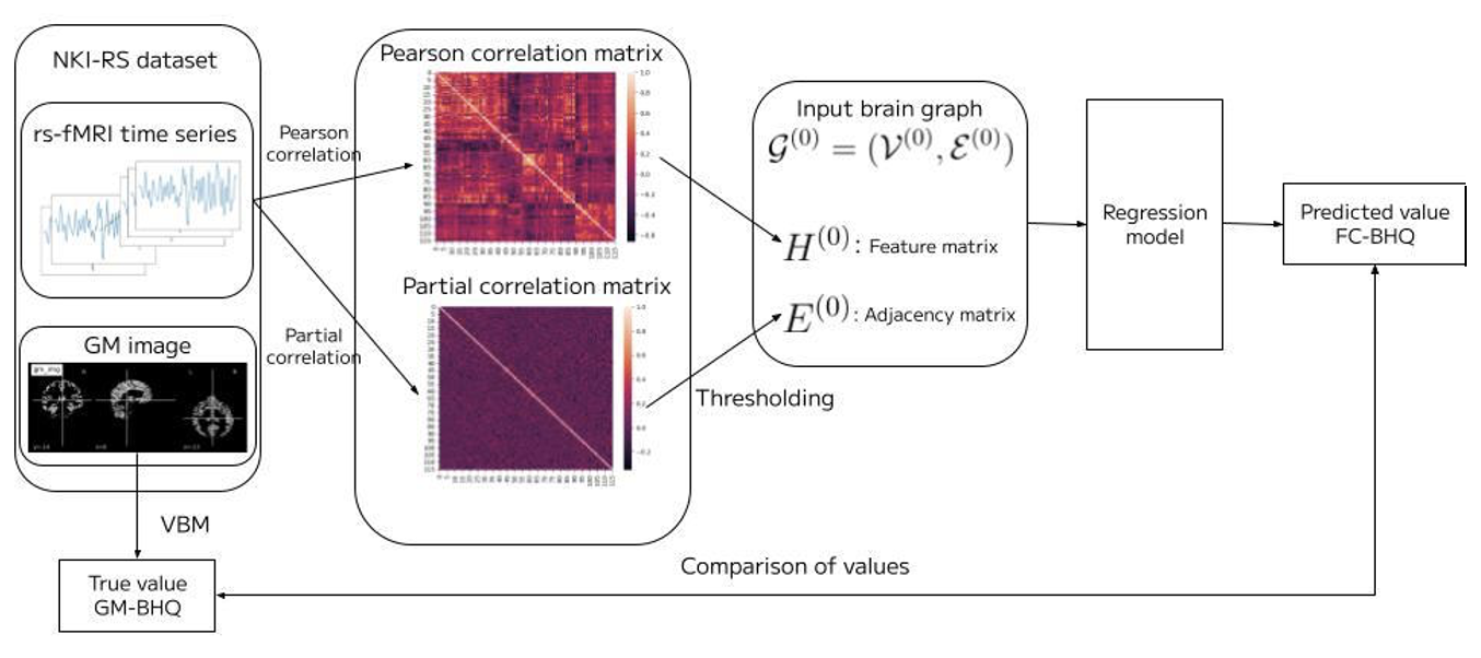 Prediction and Analysis of Structural Brain Health Indicators