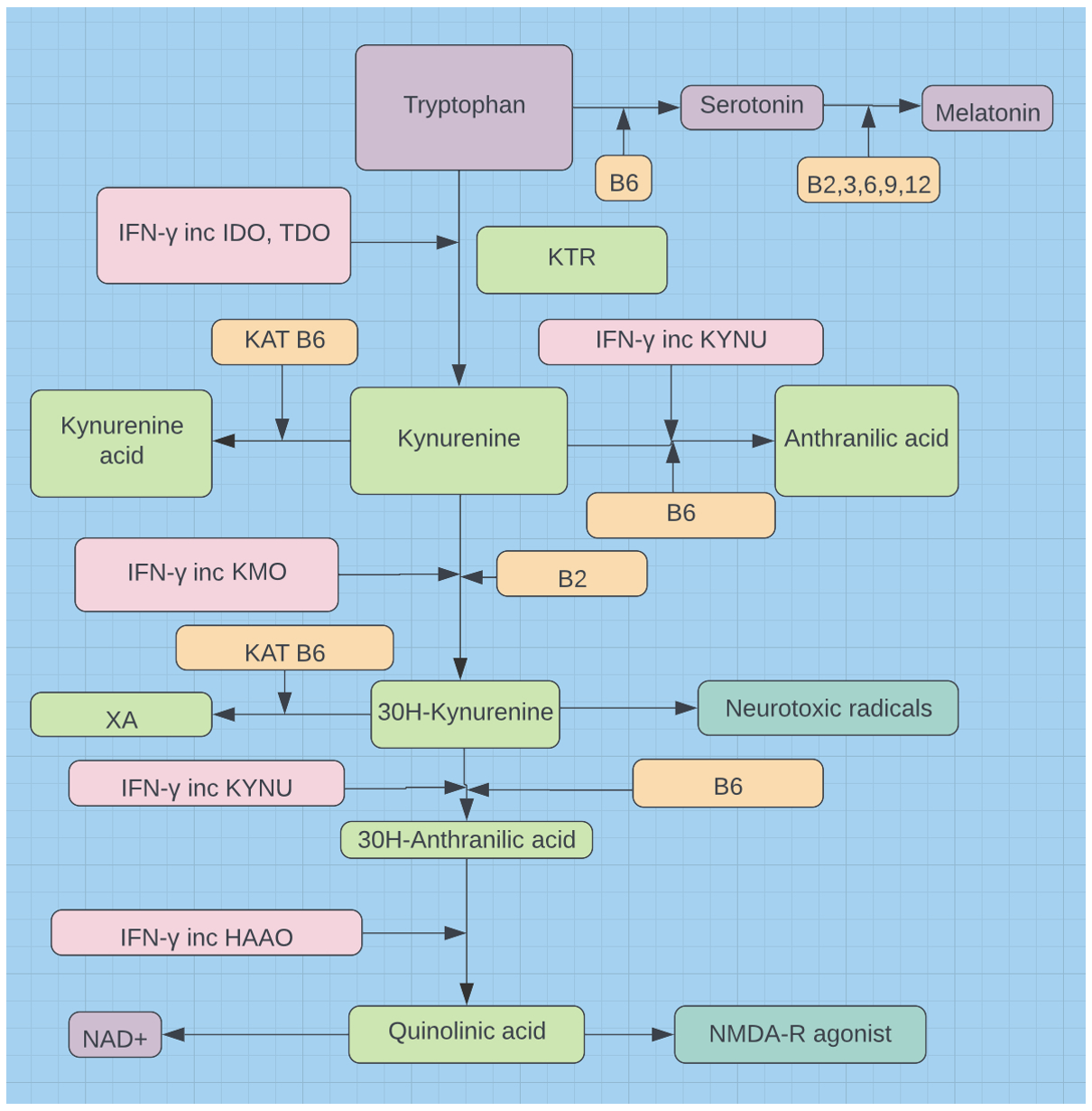 Vitamin B6, Magnesium, and Vitamin D the Triple Play Article