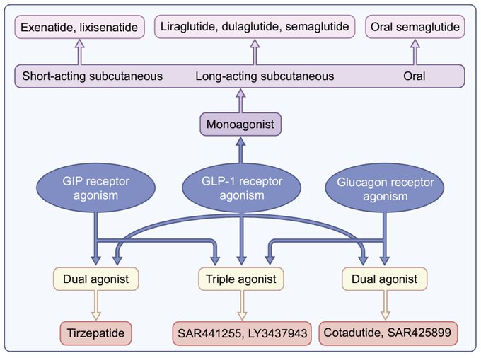 how to build muscle on semaglutide How Long Can You Take Semaglutide? how to build muscle on semaglutide How Long Can You Take Semaglutide?