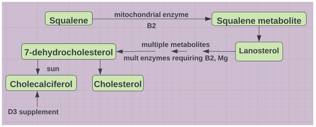 MTHFR and LC, CFS, POTS, MCAS, SIBO, EDS: Methylating the Alphabet -  Article (Preprint v1) by Patrick Chambers