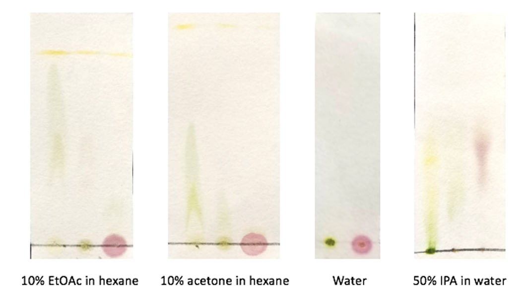 Developing A Novel Solvent System to Isolate Plant Pigments of