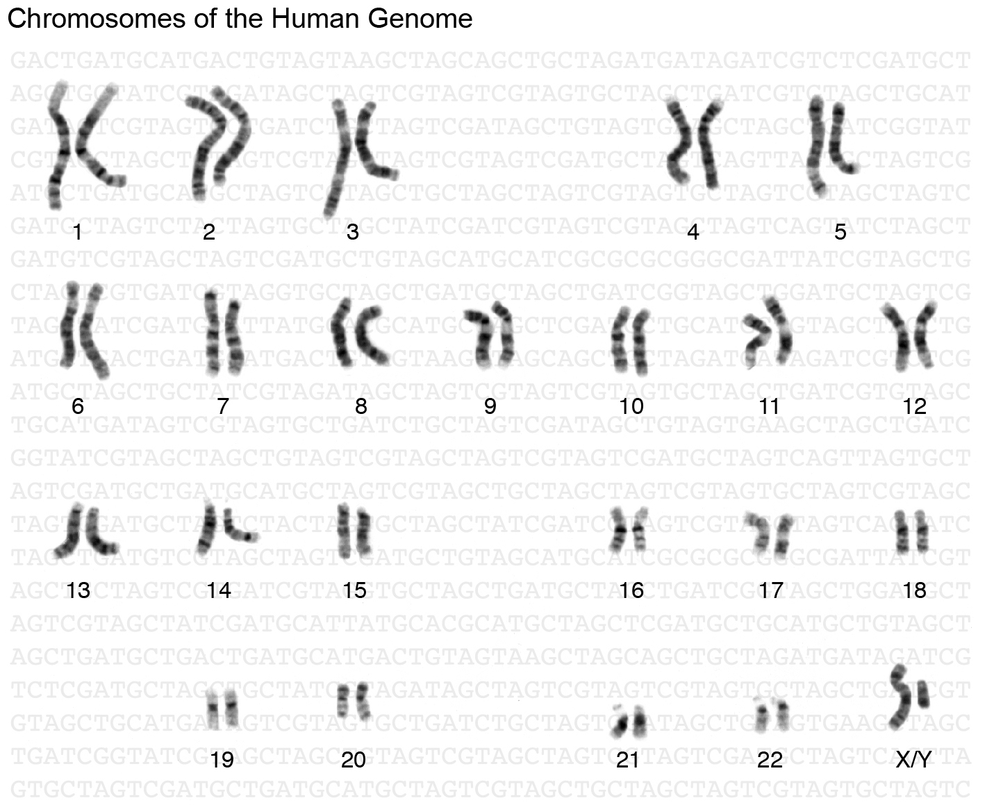 Genome Definition (v1) by National Human Genome Research Institute