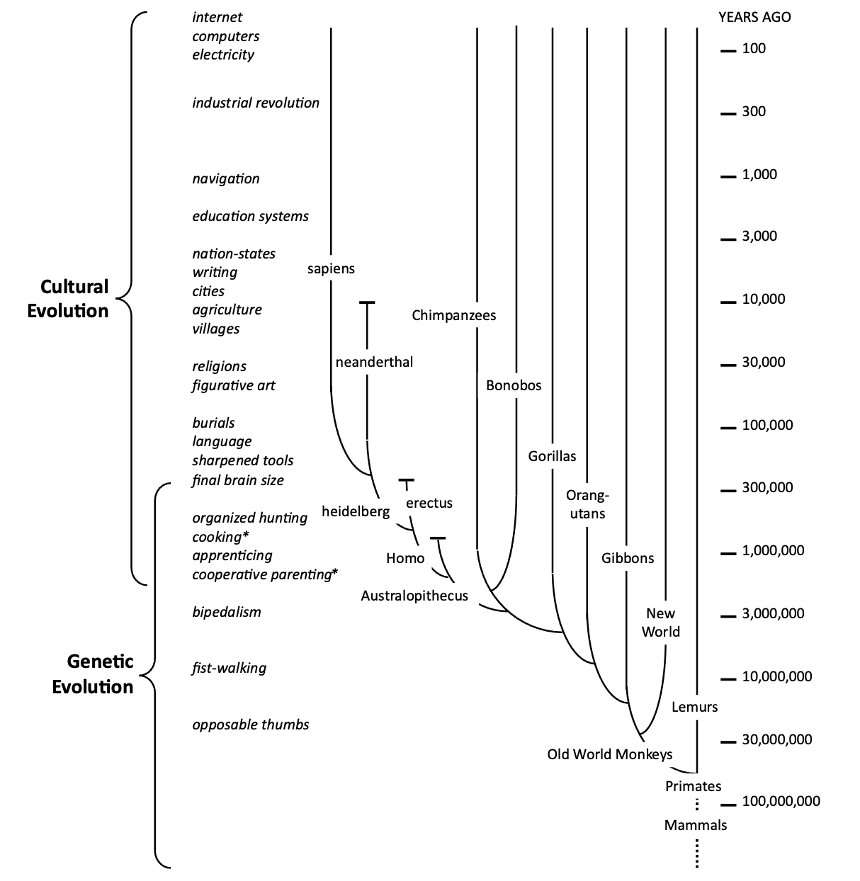 JS JC peeping-hole images - Revealing the forbidden