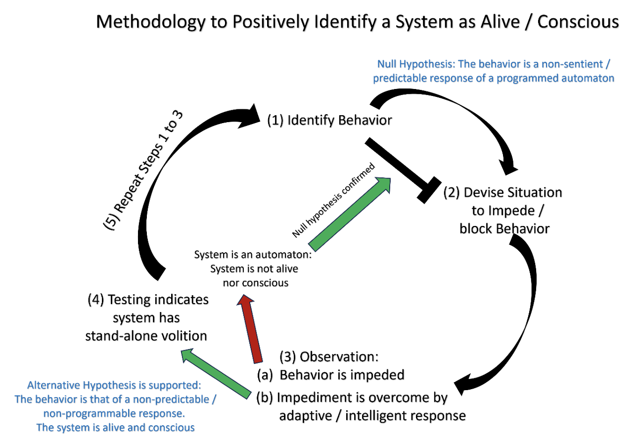 Provisional Definition of the Living State Delineation of an Empirical