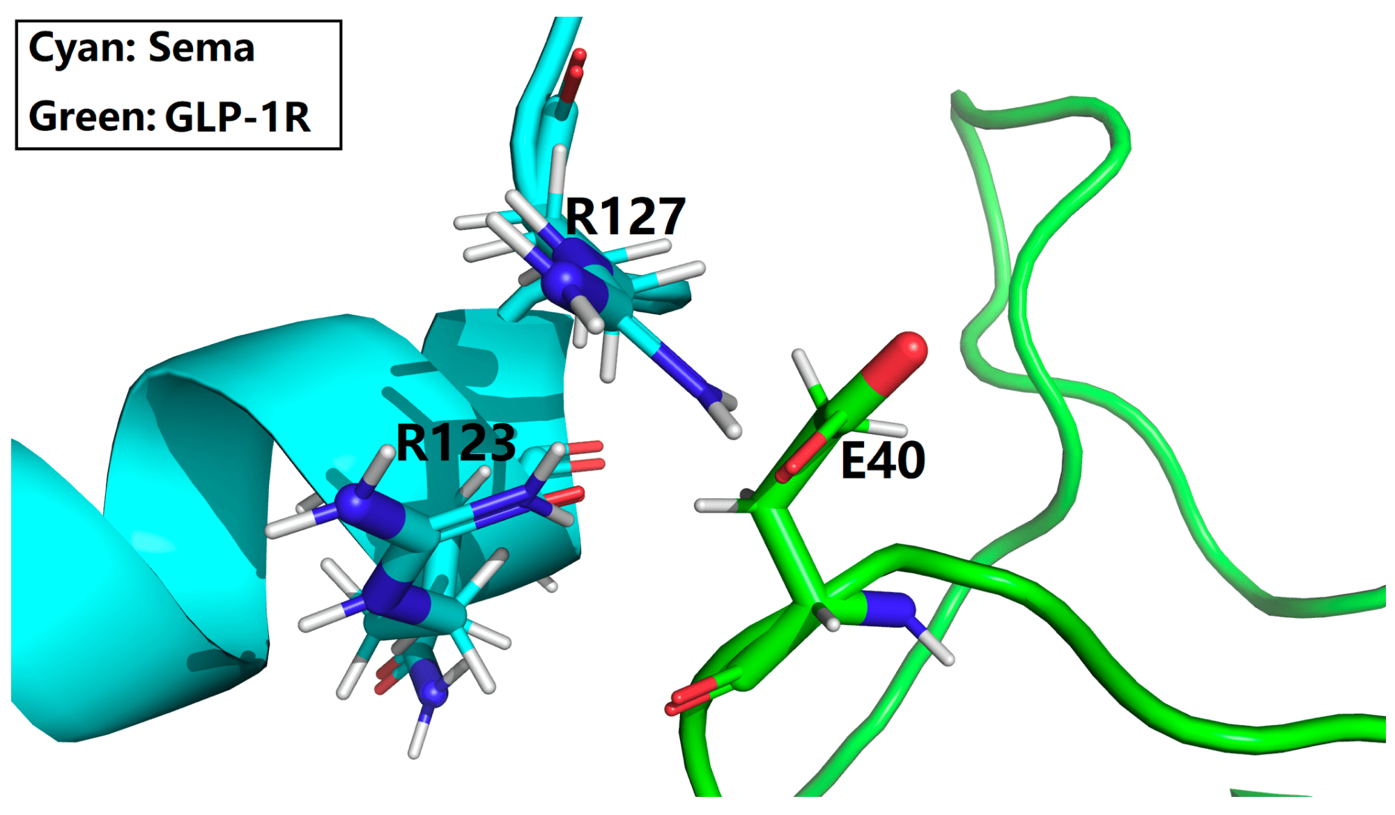 glp/gip/glucagon & cagrilintide Targeting GLP-1, GIP & GCG in Obesity and Type 2 Diabetes Research main image 0