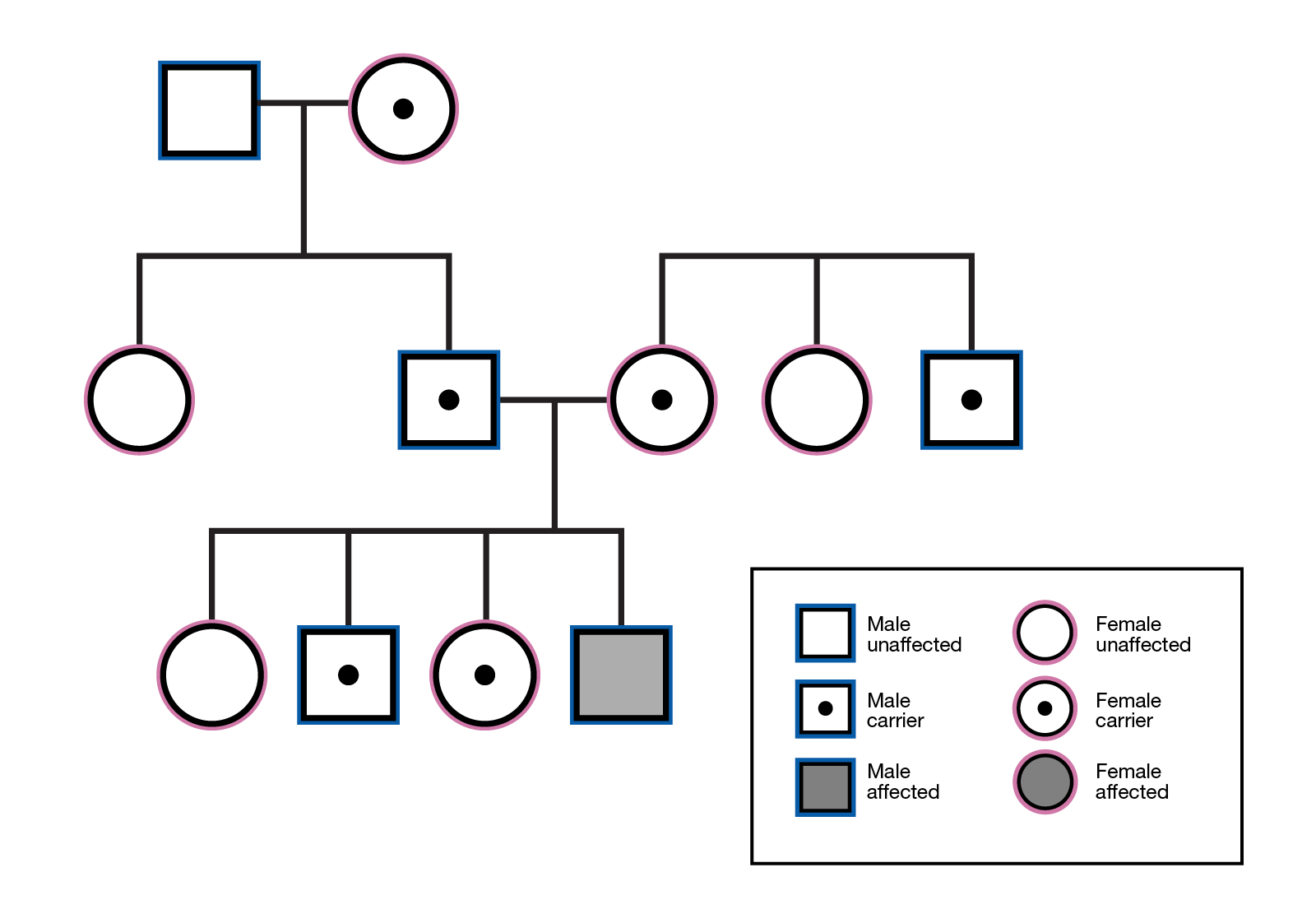 Carrier Definition v1 By National Human Genome Research Institute 