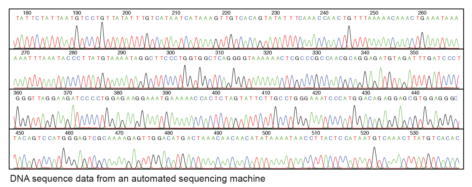 DNA Sequencing Definition (v1) by National Human Genome Research