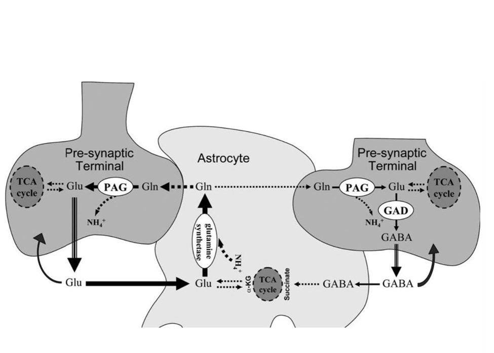 glutathione depletion-methylation block in cfs Epigenetic regulation cardiovascular disease: mechanisms and advances in clinical trials LC, POTS, and ME/CFS: Lifting