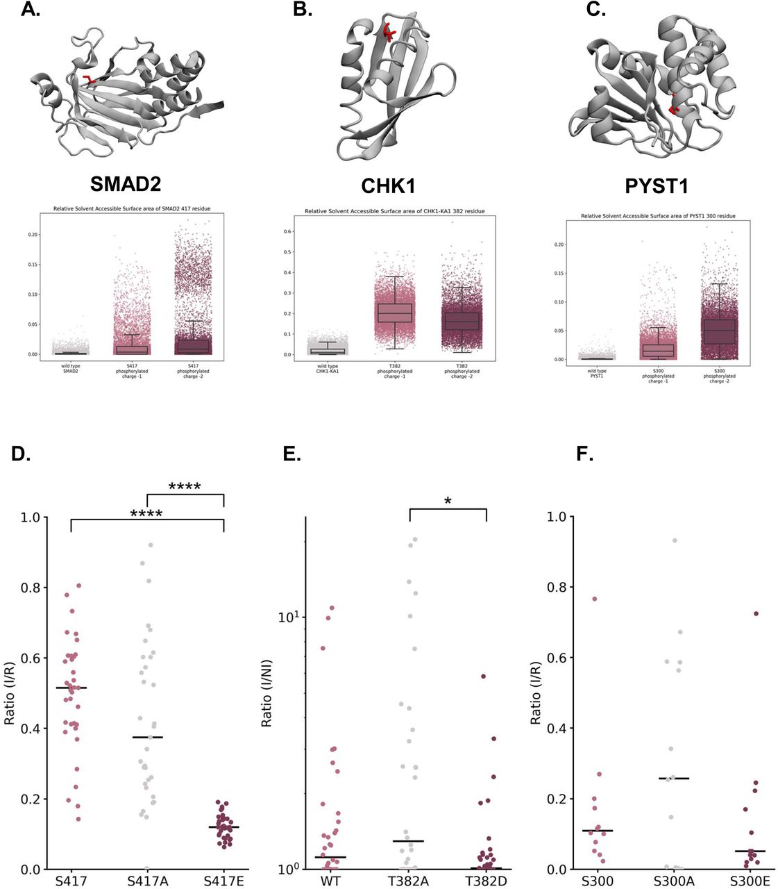 Mapping Cryptic Phosphorylation Sites in the Human Proteome